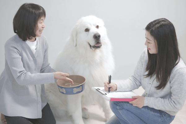 お世話内容を確認します